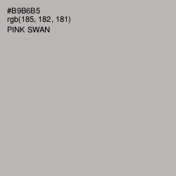 #B9B6B5 - Pink Swan Color Image